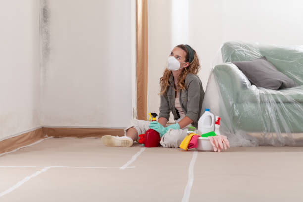 Reliable Mold Testing contractor in University Place, WA by WQB Mold Removal